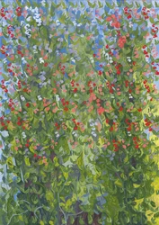 Guisantes Dulces, 2014